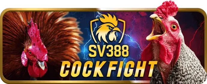 Đội ngũ hỗ trợ khách hàng g6666